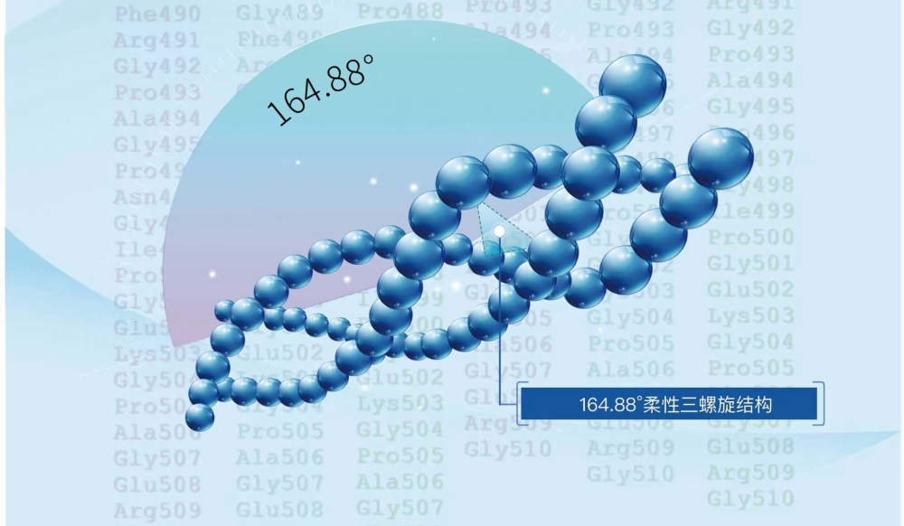 微信图片_20250427133829.jpg